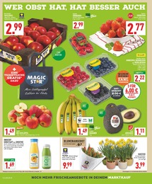 Marktkauf Erdbeeren im Prospekt Marktkauf Erdbeeren im Prospekt