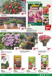 Blumenerde Blumenerde