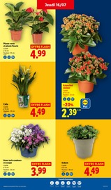Prospectus Lidl "L'ÉTÉ IMBATTABLE" en cours à Rennes, Page 27 Catalogue Lidl en cours à Rennes, "L'ÉTÉ IMBATTABLE", Page 27