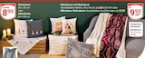 Dekokissen im Angebot bei GLOBUS in Bad Kreuznach Dekokissen Angebote bei GLOBUS Bad Kreuznach für 8,99 €