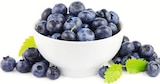 Baum im E center Prospekt Heidelbeeren im aktuellen E center Prospekt für 3,33 €
