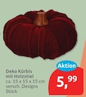 Deko Kürbis mit Holzstiel im aktuellen budni Prospekt