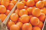 Orange à jus et/ou à dessert dans le catalogue Netto
