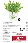 Aktuelles BIO RUCOLA Angebot bei Dehner Garten-Center in Wuppertal ab 2,69 €