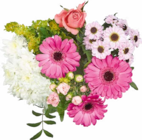 Aktuelles Alles Liebe Angebot bei Netto Marken-Discount in Oberhausen ab 5,99 €