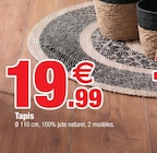 Promo Tapis à 19,99 € dans le catalogue Bazarland à Janville