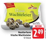 frische Wachteleier Angebote von Nestlerfarm bei EDEKA Aschaffenburg für 2,49 €
