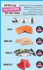 Lachs im EDEKA Prospekt Lachs von im aktuellen EDEKA Prospekt fĂĽr