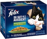 Aktuelles Katzenahrung Angebot bei REWE in Chemnitz ab 3,99 €