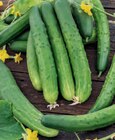 Gurke und Zucchini bei toom Baumarkt im Ritterhude Prospekt für 3,49 €