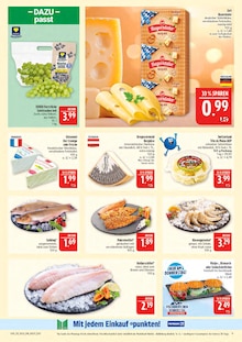 Fisch im aktuellen Marktkauf Prospekt (Erlangen) Fisch im Marktkauf Prospekt "AUSWAHL RIESIG, PREISE NIEDRIG" mit 46 Seiten (Erlangen)