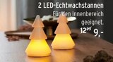 2 LED-Echtwachstannen Angebote bei REWE Pforzheim für 9,00 €