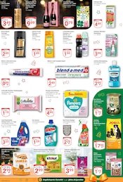 Aktueller GLOBUS Prospekt mit Windeln, "Aktuelle Angebote", Seite 17