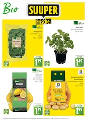 Aktueller Knolles Markt Prospekt mit Gemüse, "Top Angebote", Seite 3