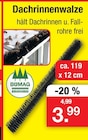 Zimmermann Krummhörn - Dachrinnenwalze Angebot im Prospekt Dachrinnenwalze bei Zimmermann im Krummhörn Prospekt für 3,99 €