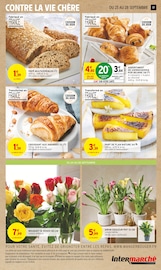 Plante Verte Angebote im Prospekt "LE TRÈS GROS ANNIVERSAIRE" von Intermarché auf Seite 17