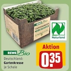 Gartenkresse von REWE Bio im aktuellen REWE Prospekt für 0,35 €