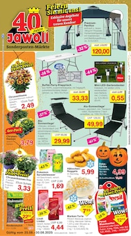 Blumen Angebot im aktuellen Jawoll Prospekt auf Seite 1