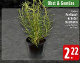 Freilandkräuter Rosmarin Angebote bei EDEKA Herne für 2,22 €