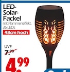 Wreesmann Aurich Prospekt mit  im Angebot für 4,99 €