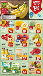 Pflanzen im REWE Prospekt Pflanzen im REWE Prospekt Dein Markt auf S. 4