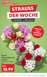 Aktueller Kaufland Prospekt mit Chrysantheme, "KNÜLLER", Seite 11