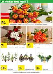 Offre Plante Verte dans le catalogue Carrefour du moment à la page 30