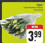 Tulpen Angebote bei EDEKA Freiberg für 3,99 €