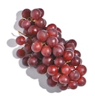 Trauben kernlos bei Netto mit dem Scottie im Halle Prospekt für 1,49 €