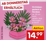 Orchideengesteck in Herzbox von  im aktuellen Netto Marken-Discount Prospekt für 14,99 €