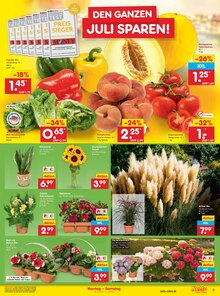 Pflanzen im aktuellen Netto Marken-Discount Prospekt (Magdeburg) Pflanzen im Netto Marken-Discount Prospekt "Aktuelle Angebote" mit 45 Seiten (Magdeburg)