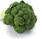 Broccoli im aktuellen Netto Marken-Discount Prospekt