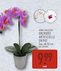 Orchidée artificielle en pot - Home Creation - Aldi à Perpignan Orchidée artificielle en pot - Home Creation en promo chez Aldi Perpignan à 9,99 €