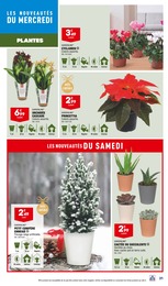 Prix et réduction Cyclamen dans le prospectus Aldi en cours Offre Cyclamen dans le catalogue Aldi du moment à la page 33