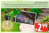 LED-Solarleuchte im Marktkauf Prospekt LED-Solarleuchte im aktuellen Marktkauf Prospekt für 2,99 €