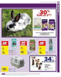 Offre Collier dans le catalogue Carrefour du moment à la page 63