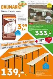 Globus-Baumarkt Prospekt der Woche "Immer eine Idee besser" Seite 1, 31.05.2026 bis 06.06.2026 für St. Wendel Aktueller Globus-Baumarkt Prospekt "Immer eine Idee besser" Seite 1 von 17 Seiten für St. Wendel