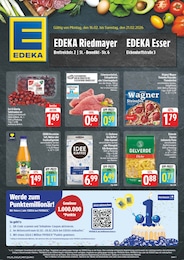 EDEKA Prospekt "Wir lieben Lebensmittel!" für Würzburg, 8 Seiten, 16.02.2026 - 21.02.2026
