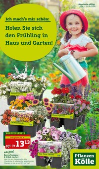 Aktueller Pflanzen Kölle Prospekt "Holen Sie sich den Frühling in Haus und Garten!" Seite 1 von 16 Seiten