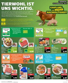 Hackfleisch im Kaufland Prospekt "Aktuelle Angebote" mit 32 Seiten (Oldenburg)