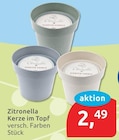 Zitronella Kerze im Topf Angebote bei budni Lüneburg für 2,49 €