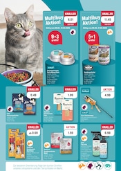 Aktueller ZooRoyal Prospekt mit Felix Katzenfutter, "20% SPAR-DEAL AUF ZUBEHÖR!", Seite 6