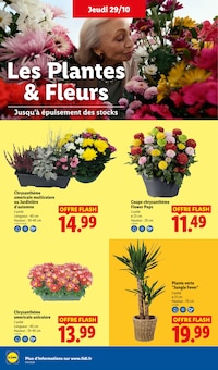 Promotion Gardena dans le prospectus Lidl, valable du 29/10/2026 au 04/11/2026 Promo Gardena dans le catalogue Lidl du moment à la page 32