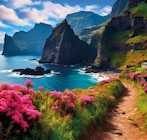 Portugal / Madeira – TOP bewertetes Lieblingshotel direkt am Meer im Angebot bei REWE in Bochum Portugal / Madeira – TOP bewertetes Lieblingshotel direkt am Meer Angebote von HolidayCheck bei REWE Bochum für 699,00 €