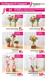 Plante Verte Angebote im Prospekt "U Express" von U Express auf Seite 27