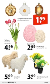 Jardinage Angebote im Prospekt "Wibra" von Wibra auf Seite 11