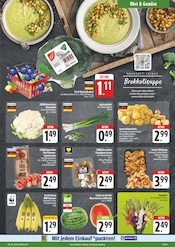 Blumenzwiebeln im EDEKA Prospekt in Hof Aktueller EDEKA Prospekt mit Blumenzwiebeln, "Wir lieben Lebensmittel!", Seite 3