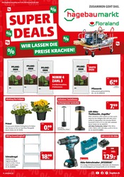 Aktueller Hagebaumarkt Baumarkt Prospekt in Irrel und Umgebung, "SUPER DEALS" mit 8 Seiten, 15.02.2025 - 22.02.2025