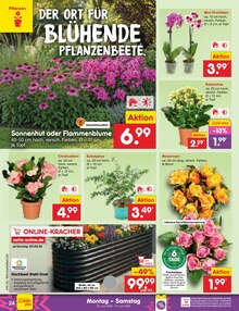 Pflanzen im aktuellen Netto Marken-Discount Prospekt (Jena) Pflanzen im Netto Marken-Discount Prospekt "Aktuelle Angebote" mit 57 Seiten (Jena)
