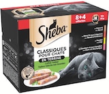Supermarchés Match Le Quesnoy - Promo Barquettes pour chats Promo Barquettes pour chats à 4,80 € dans le catalogue Supermarchés Match à Le Quesnoy